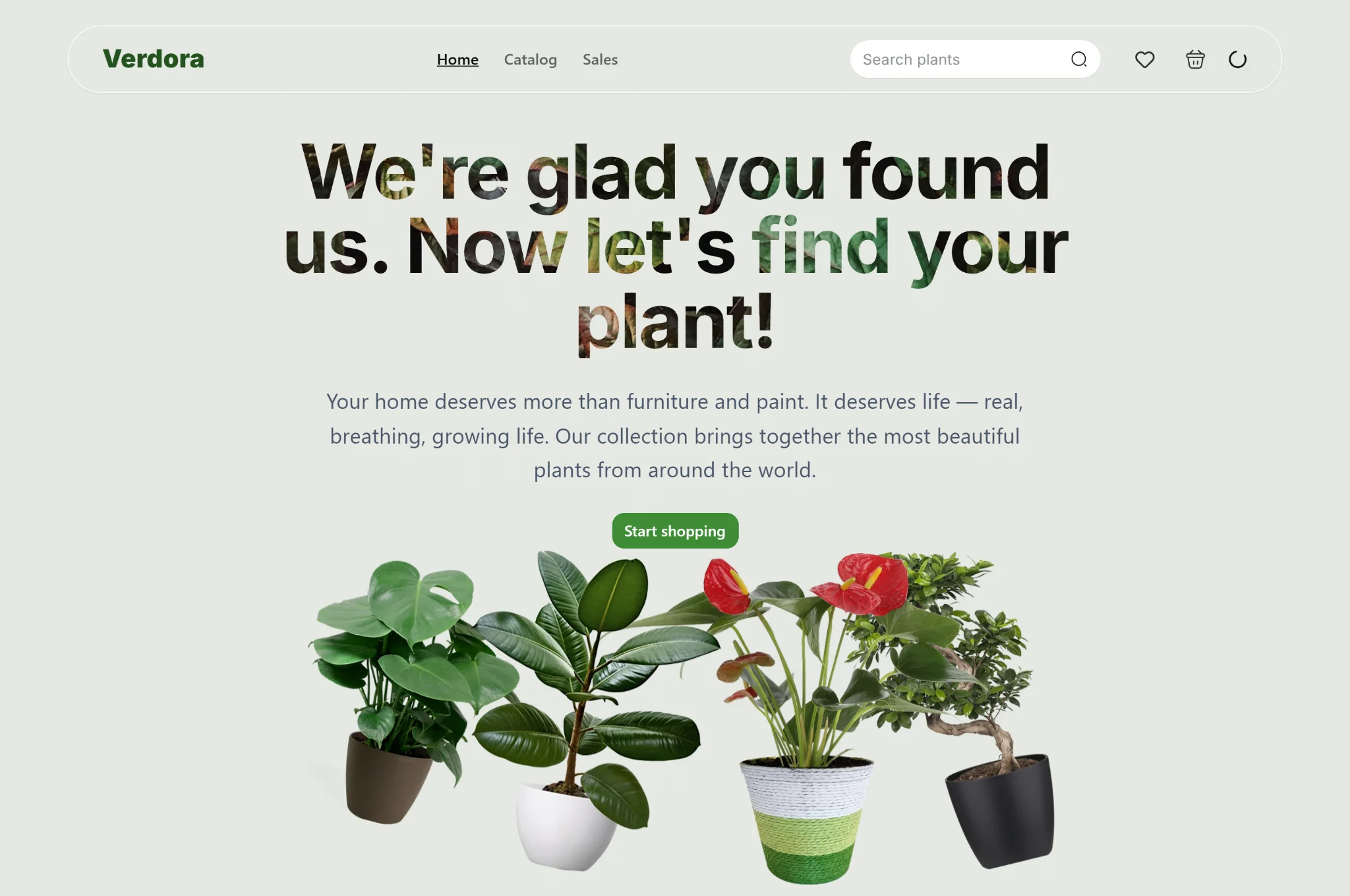 Verdora e-commerce team project frontend